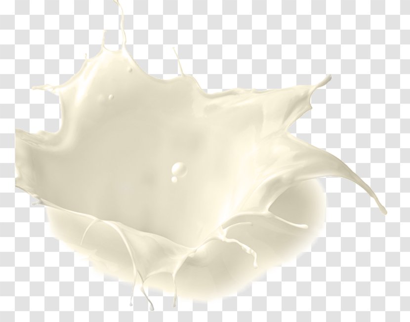 Water Petal - White - Milk Splash Transparent PNG