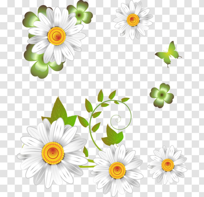 Oxeye Daisy German Chamomile Flower - Floral Design Transparent PNG