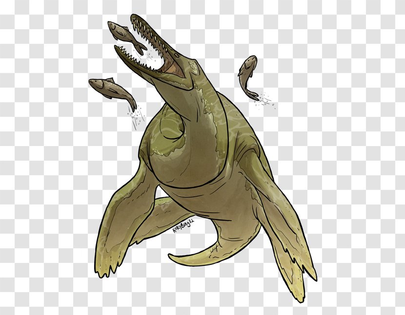 Tyrannosaurus Turtle Amphibian Marine Mammal - Fish Transparent PNG