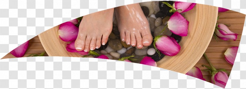 Jivana Green Spa & Salon Beauty Parlour Day Pedicure - Massage - Waxing Legs Transparent PNG