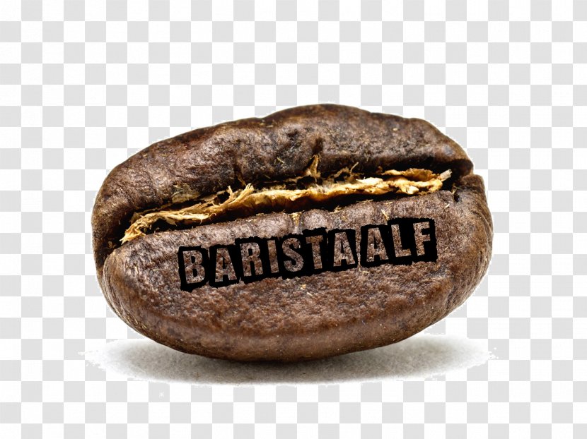Instant Coffee Cafe Bean Roasting - Arabica Transparent PNG