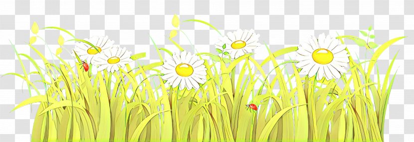 Grasses Plant Stem Desktop Wallpaper Meadow - Flower - Grass Family Transparent PNG