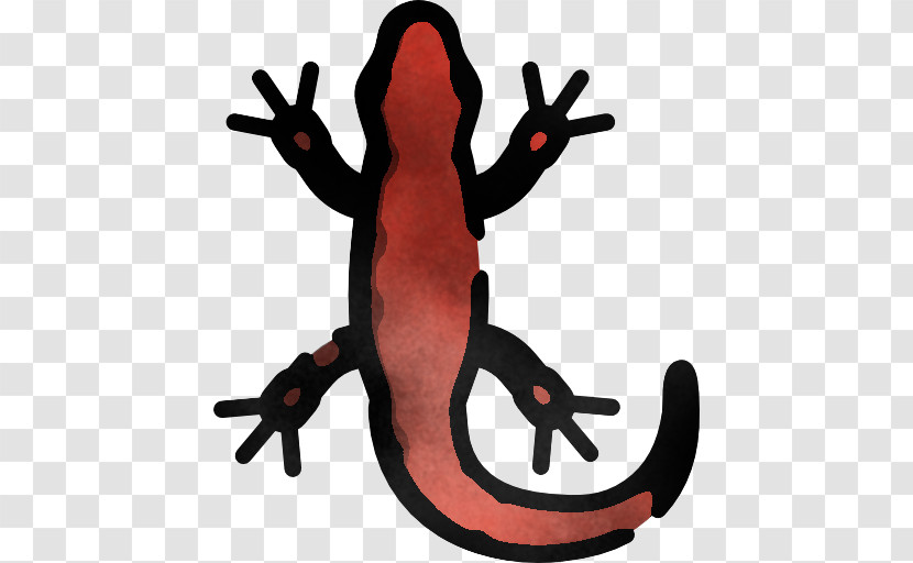 Gecko Frog True Salamanders And Newts Transparent PNG