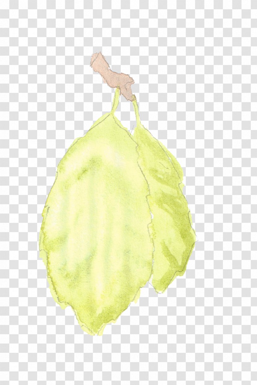 Plant Leaf - Yellow Transparent PNG