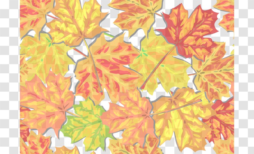Autumn Leaf Color Clip Art - Cartoon - Starch Cliparts Transparent PNG
