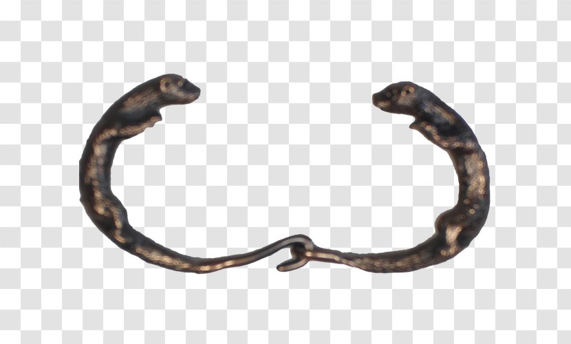 Metal SNAKE'M - Reptile - Spottednecked Otter Transparent PNG