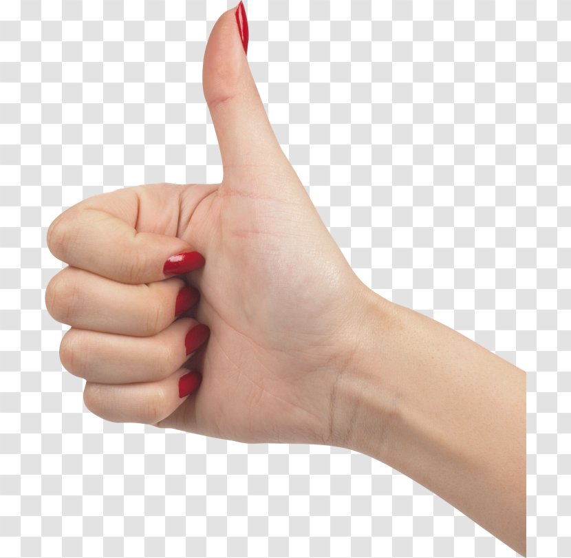 Finger Hand - Thumb Transparent PNG