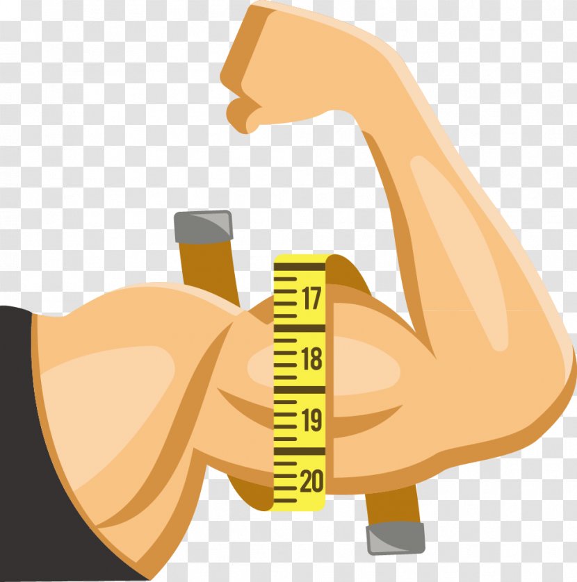 Muscle Arms Thumb - Man Vector Transparent PNG