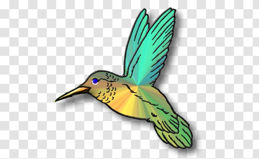 Hummingbird Free Content Clip Art - Pollinator - Clipart Transparent PNG