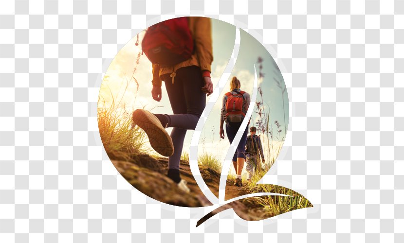 Hiking Outdoor Recreation Camping Poiana Rest Step - Landed Property Transparent PNG