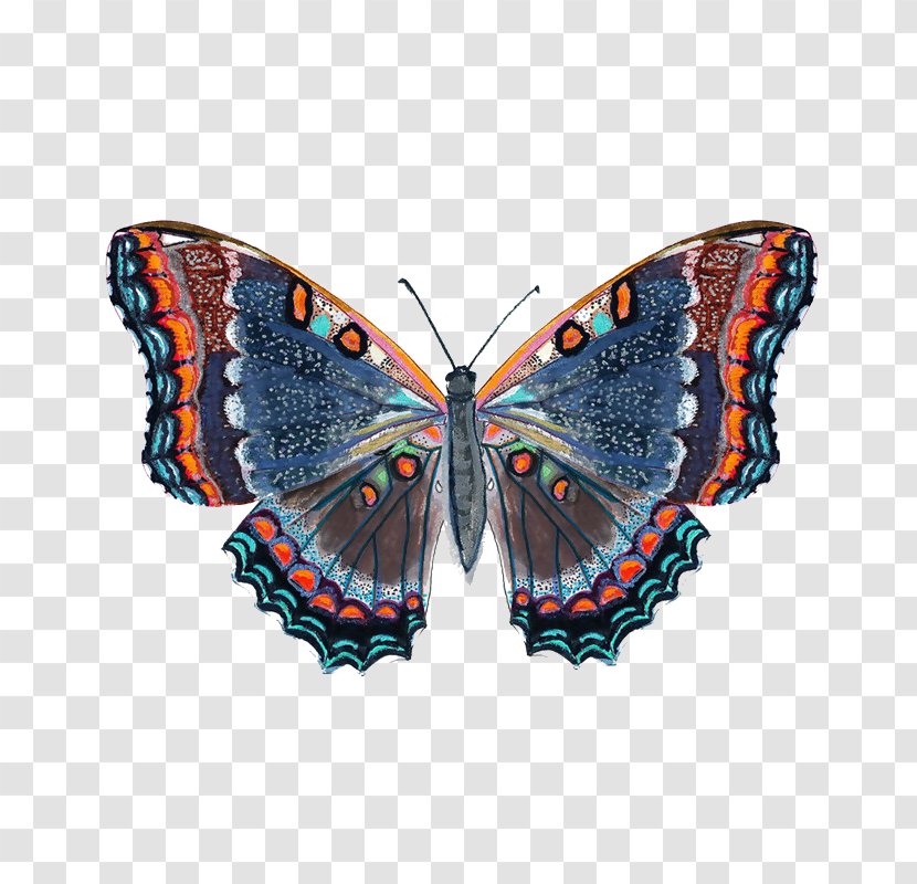 Monarch Butterfly Illustration - Colorful Clips Transparent PNG