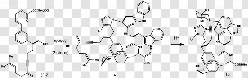 Estrogen Receptor Beta /m/02csf Chemical Compound Benzopyran - Heart - Logic Synthesis Transparent PNG