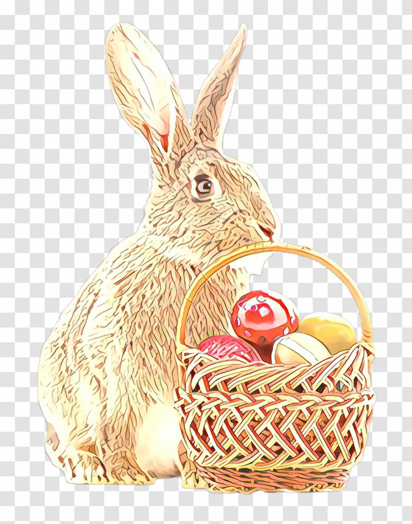 Easter Bunny Transparent PNG