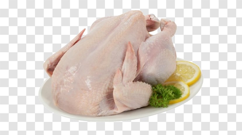 Chicken As Food Hainanese Rice White Cut Meat Transparent PNG