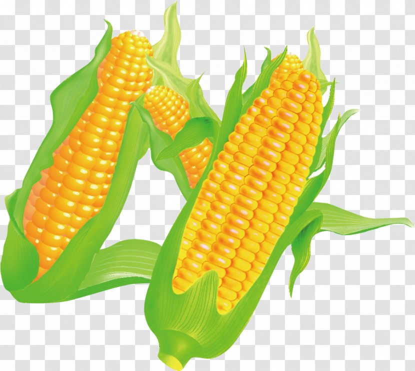Corn On The Cob Maize Food - Vegetarian Transparent PNG
