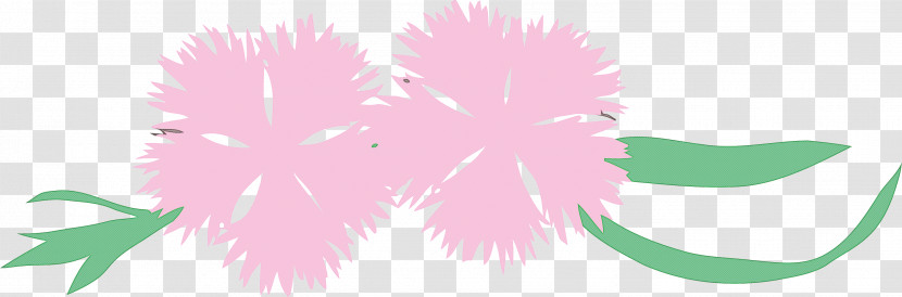 Pink Plant Flower Transparent PNG