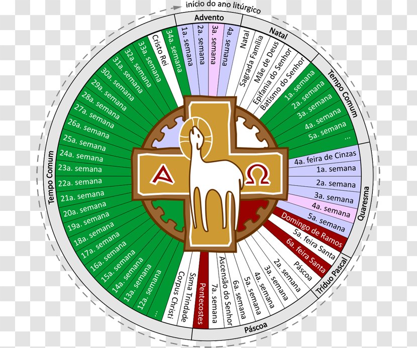 Youcat Christ The King Liturgical Year Liturgy Calendario Liturgico - Structure - APARECIDA Transparent PNG