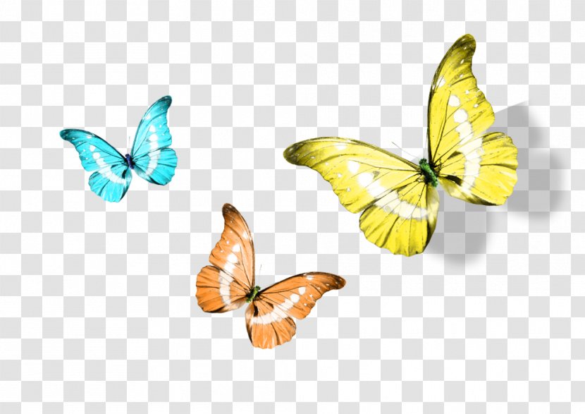 Monarch Butterfly Yellow - Cartoon Transparent PNG