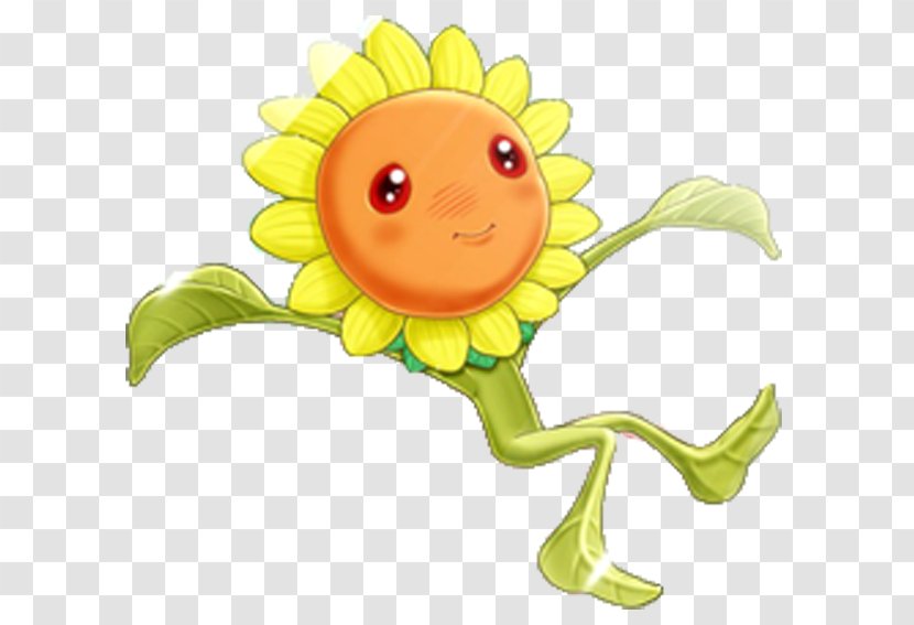 Sunflower M Clip Art Illustration Image - Petal - Bean Transparent PNG