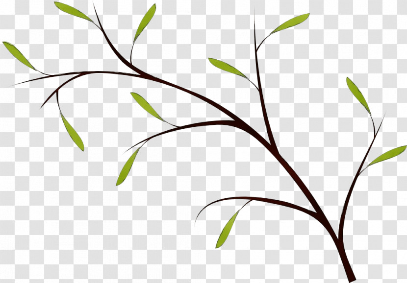 Twig Plant Stem Leaf Grasses Flower Transparent PNG