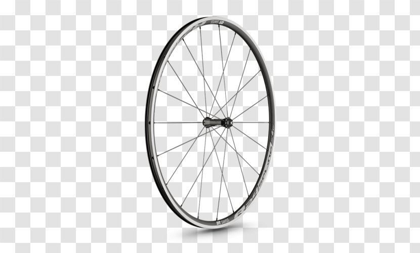 Bicycle Wheels Giant Bicycles DT Swiss R 24 Spline - Rim Transparent PNG