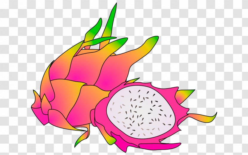 Pitaya Fruit Clip Art - Can Stock Photo - Dragon Transparent PNG