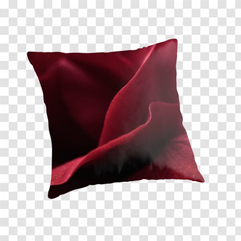 Throw Pillows Cushion Veni, Vidi, Vici Velvet - Aesthetics - Pillow Transparent PNG