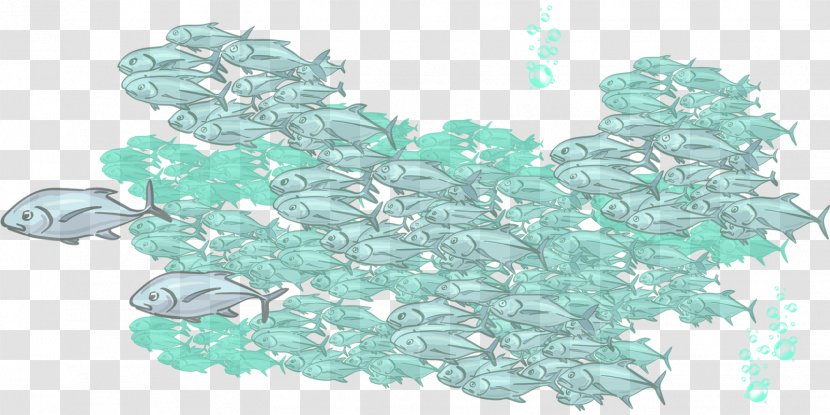 Children's Literature Sea Binary Large Object Turquoise - Child - Green Fish Transparent PNG