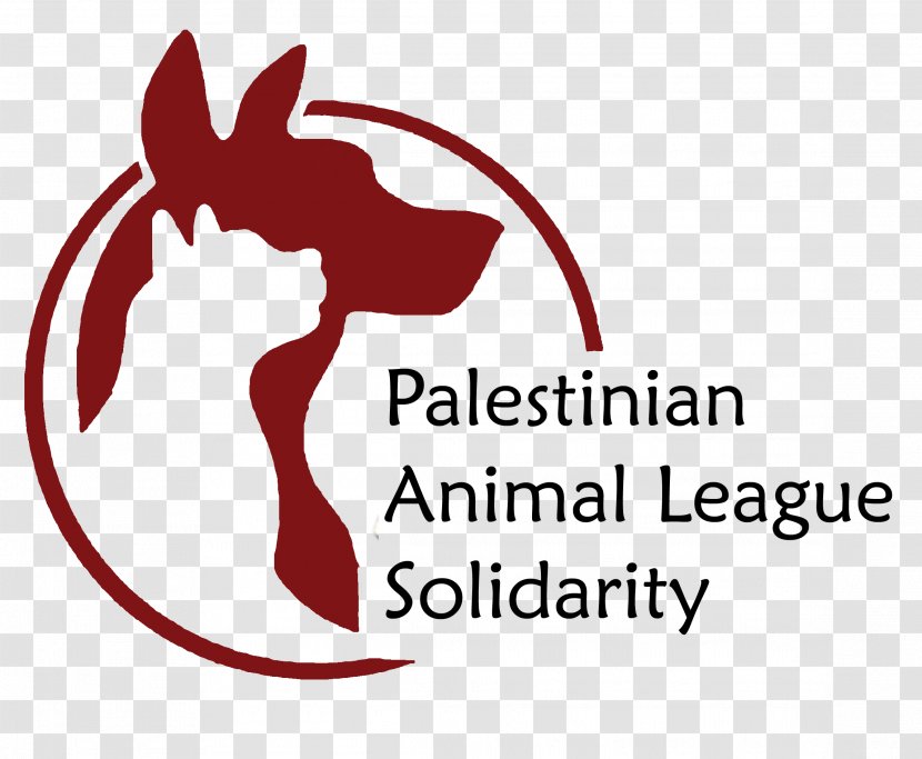 Causes For Animals Dog Pet Animal Shelter - Flower - Palestine Al Quds Transparent PNG