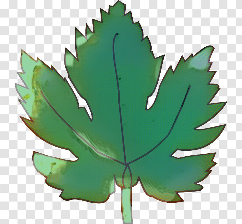 Green Leaf Background - Plane - Symbol Maple Transparent PNG
