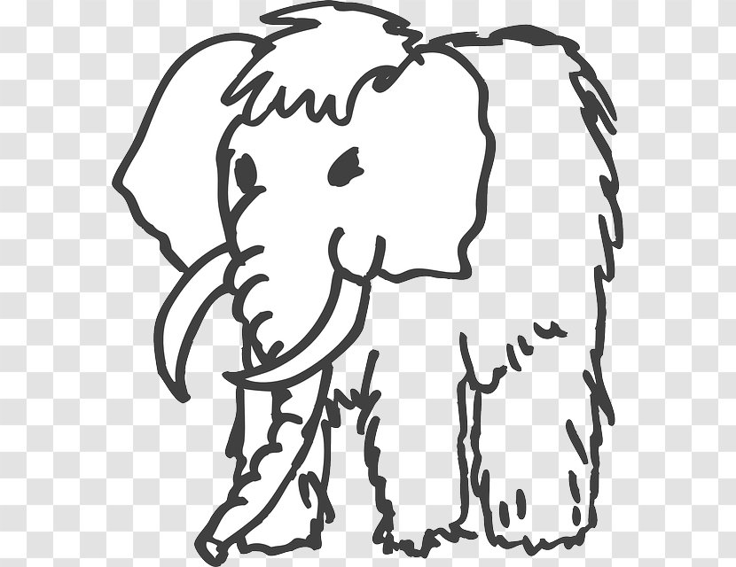 Mammuthus Meridionalis Woolly Mammoth Drawing Columbian Clip Art - Flower - Frame Transparent PNG