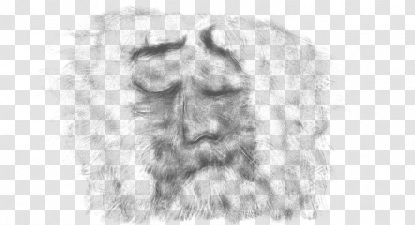 Lion Dog Mammal Canidae Sketch - Flower Transparent PNG