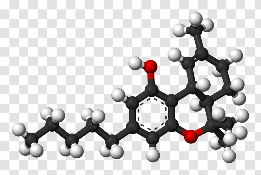 Lipoic Acid Alpha-Linolenic Antioxidant - Silhouette - L Transparent PNG