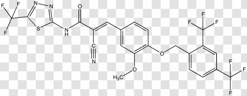 Chemistry Piroxicam Pharmaceutical Drug Sildenafil Chemical Compound - Frame - Watercolor Transparent PNG