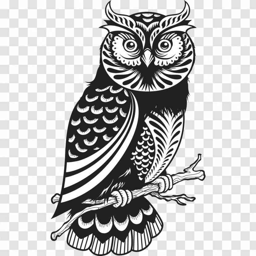 Owl Drawing Royalty-free - Owls Transparent PNG