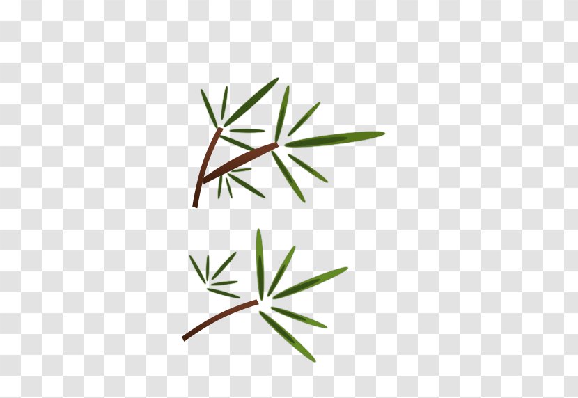 Bamboo - Grass - Green Hand-painted Leaves Decorative Patterns Transparent PNG
