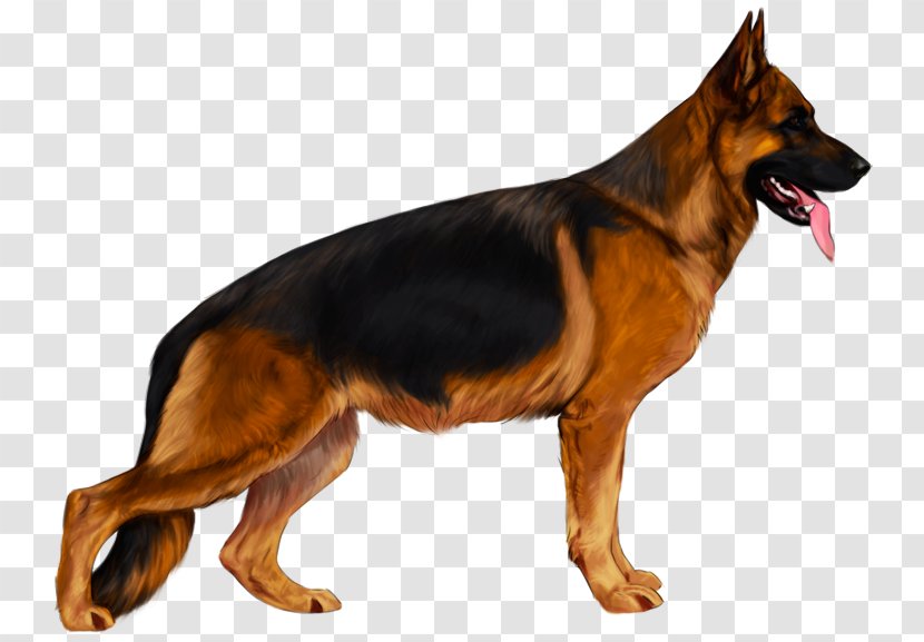 Old German Shepherd Dog Black And Tan Coonhound King English Toy Terrier Transparent PNG