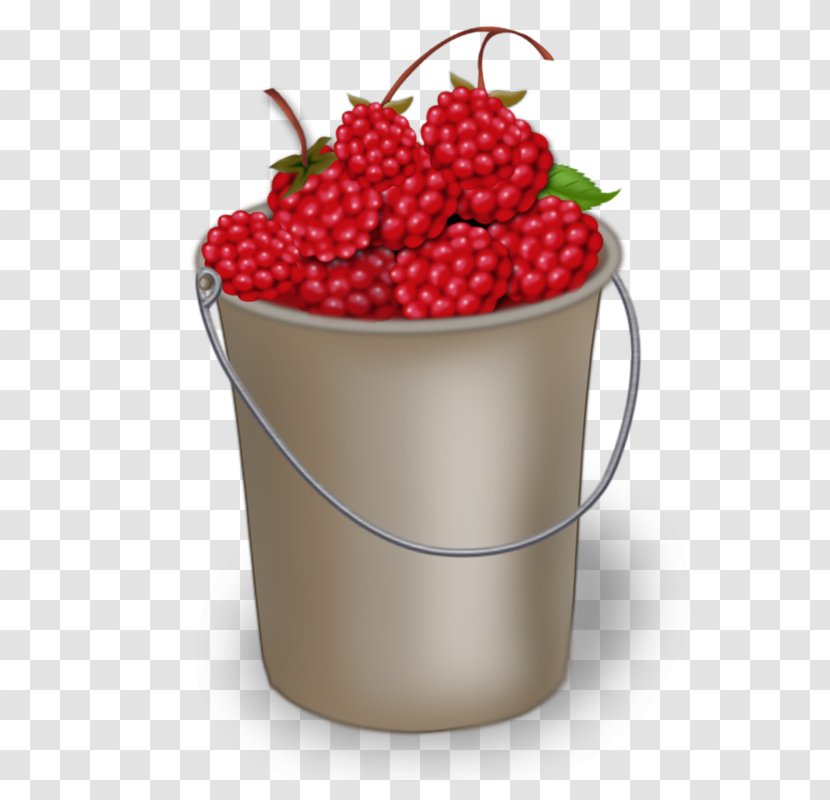 Cherry Flowerpot Berry Natural Foods Superfood Transparent PNG