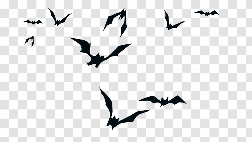 Ghostimps Bat Silhouette - Black And White - Creative Transparent PNG