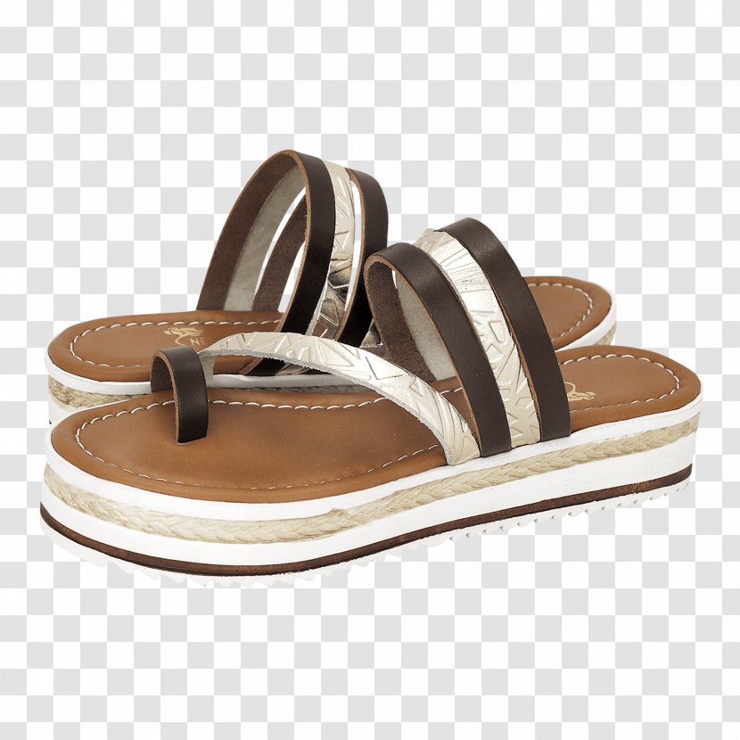 Flip-flops Slide Sandal Shoe Transparent PNG