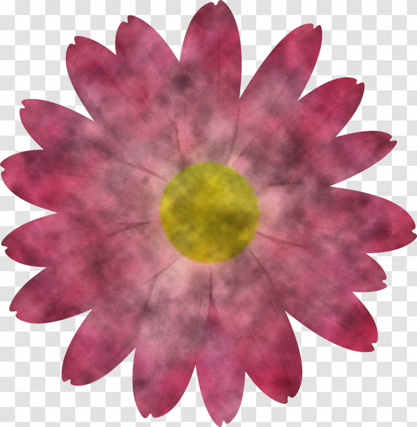 Marguerite Flower Spring Flower Transparent PNG