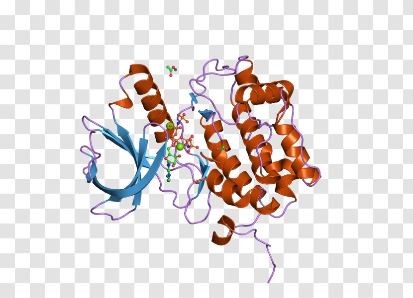 PLK1 Polo-like Kinase Protein Phosphopeptide - Heart - Frame Transparent PNG