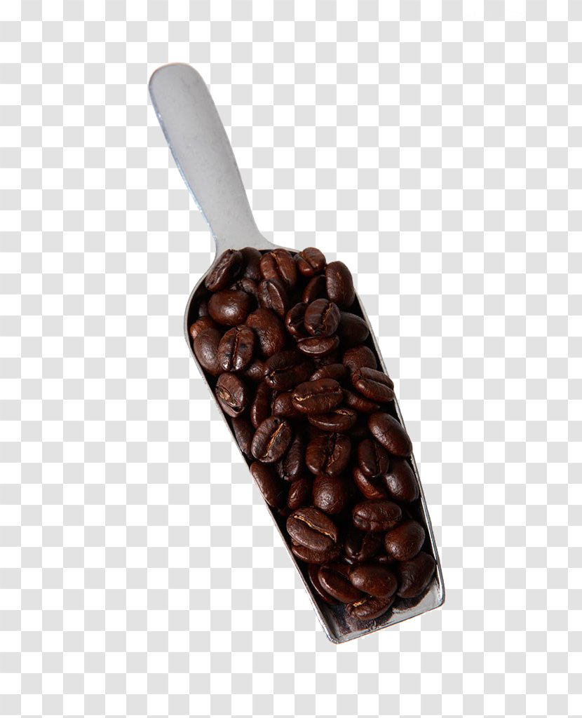Coffee Bean Cafe Cup - Shovel - Beans Transparent PNG
