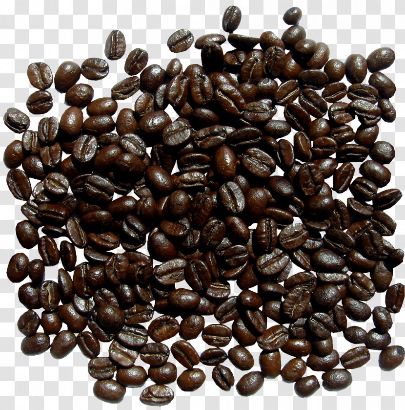 Jamaican Blue Mountain Coffee Bean Cereal - Cubeb - Beans Transparent PNG