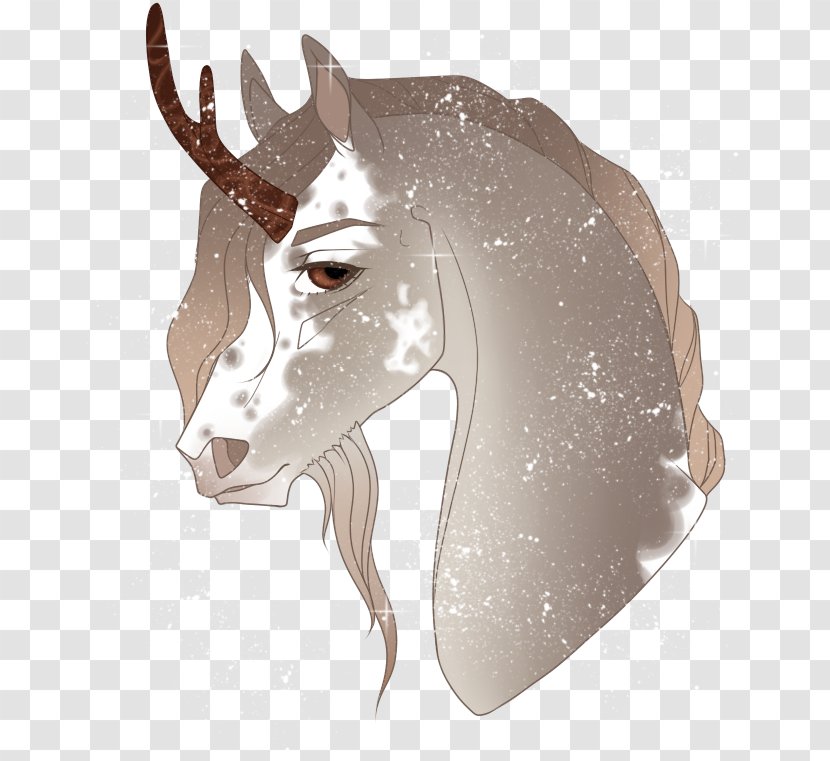 Reindeer Goat Wildlife Snout - Horn Transparent PNG