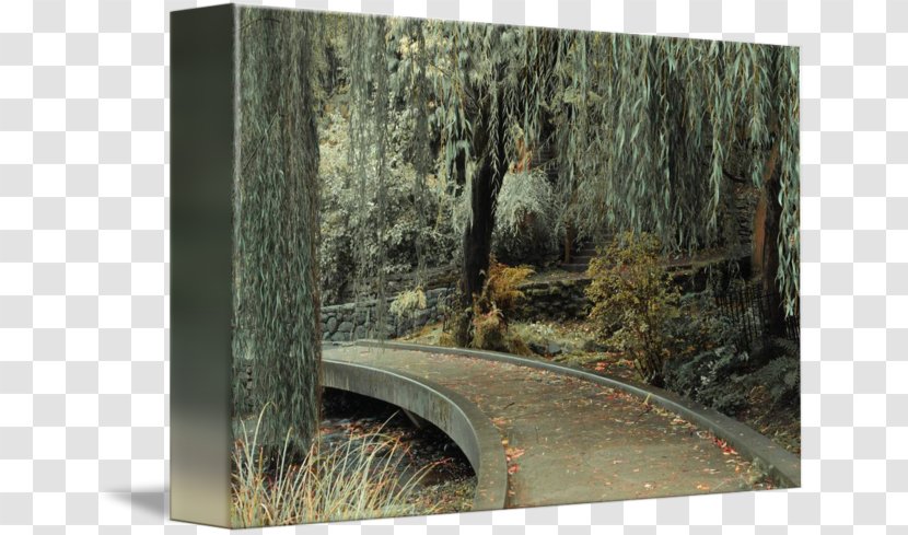 Woodland Garden /m/083vt Printing Canvas - Poster - Path Transparent PNG
