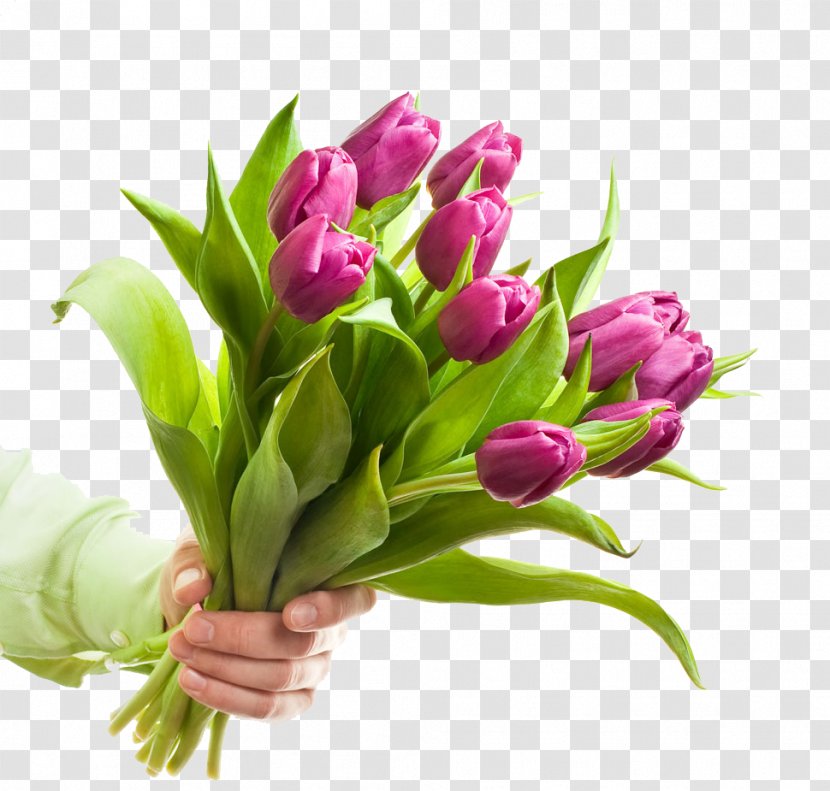 Flower Bouquet Clip Art - Gift - Of Purple Tulips Transparent PNG