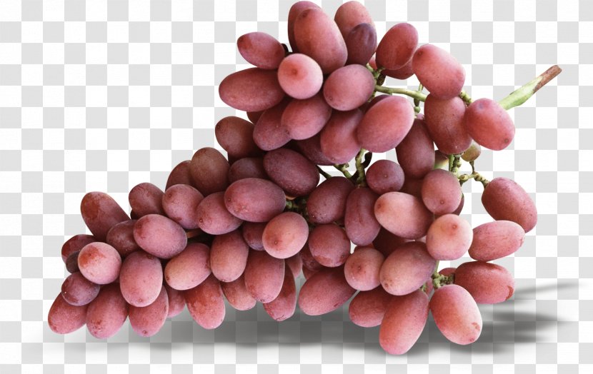 Grape - Grapevine Family - Creative Clusters Transparent PNG