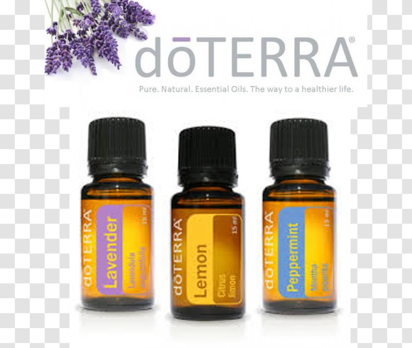 Essential Oil DoTerra Household Insect Repellents Aroma Compound - Bottle - Oils Transparent PNG