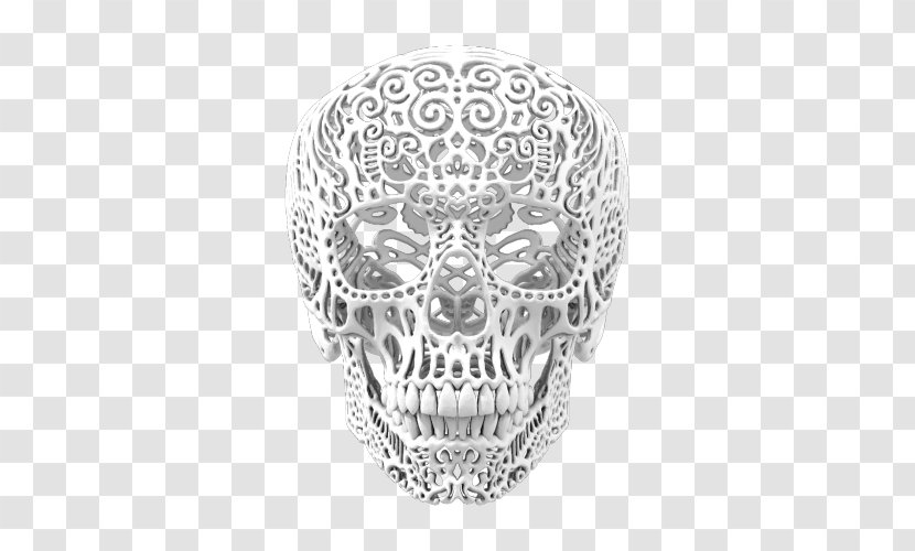 Skull Silver Jaw White Oval Transparent PNG